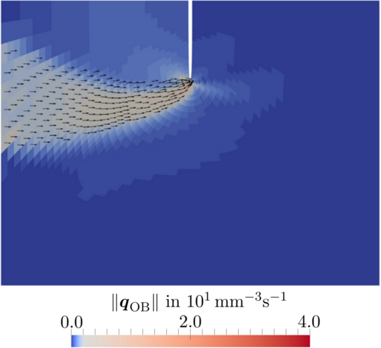 Simulation of a flux of osteoblast cells towards a micro crack in cortical bone Simulation of a flux of osteoblast cells towards a micro crack in cortical bone
